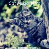 Download track Dashing Ambience For Resting Kittens