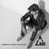 Download track Corner Of Sunset Boulevard (Wippy Lion Remix)