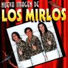 Download track Mirlos Mix: Lamento En La Selva, Tirense Con La Escoba, Poder Verde, El Sonido De Los Mirlos, Muchachita Del Oriente, Marcha Del Pato