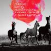 Download track Le Grand Tango I. Tempo Di Tango