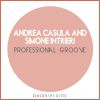 Download track Professional Groove