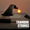 Download track Whispering Steel Strings