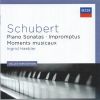 Download track Impromptus D935 Op Posth 142  III. Thema Andante. Variations I A V Piu Lento B-Dur