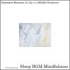 Download track Embracing The Night With The Rhythms Of Brainwave Resonance