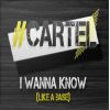 Download track I Wanna Know (Like A Base) 