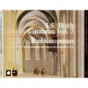 Download track BWV. 184 - 4. Aria (Tenor): Gluck Und Segen Sind Bereit