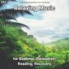 Download track Relaxing Music, Pt. 76