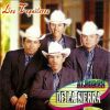 Download track Paloma Piquito De Oro (Los Alegres De La Sierra)