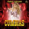 Download track Amanecer De Mi Tierra