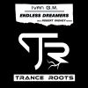 Download track Endless Dreamers (Robert Vadney Remix)