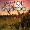 Download track Any Ol' Barstool - Tribute To Jason Aldean (Instrumental Version)