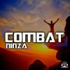 Download track Combat