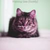 Download track Magical (Relaxing Cats)