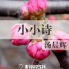 Download track 飞鸟与鱼