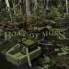 Download track Mansion In A Swamp