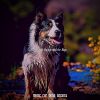 Download track Elegant Moods For Dogs