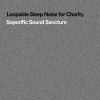 Download track Loopable Quanta Granular Noise For Charity