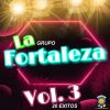 Download track La Bailadora