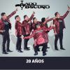 Download track Las Amarillas / Alingo Lingo / Pinotepa / Atolito Con El Dedo / La San Marqueña