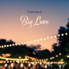 Download track Big Love (Überhaupt & Außerdems Rebound Remix)