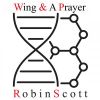 Download track Wing & A Prayer