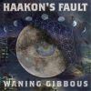 Download track Waning Gibbous