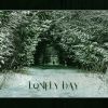 Download track Lonely Day