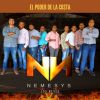 Download track Música Para El Alba / Son De La Tortuga / Flor De Piña / Los Diablos