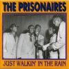 Download track Just Walkin' In The Rain