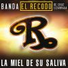 Download track La Miel De Su Saliva