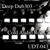 Download track Deep Dub 303 (Dub Mix)