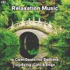 Download track Relaxation Music, Pt. 2