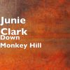 Download track Down Monkey Hill