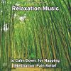 Download track Relaxation Music, Pt. 78