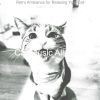 Download track Awesome Ambience For Resting Cats