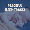 Download track All Night Ambience For Sleeping Babies, Pt. 17