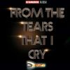 Download track Dj Dangerous Raj Desai - From The Tears That I Cry Rap Hiphop