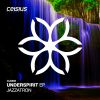 Download track Underspirit -Original Mix-