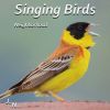 Download track Birds And Crickets