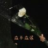 Download track 应不应该 (伴奏版)