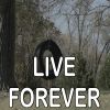 Download track Live Forever - Tribute To The Band Perry (Instrumental Version)