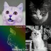 Download track Bubbly (Sleeping Cats)