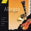 Download track Sinfonie No. 8 In G Major Op. 88, B. 163: IV. Allegro Ma Non Troppo