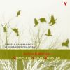 Download track Violin Snta No. 2, Op. 19: II. Scherzo: Allegro Assai