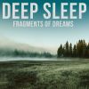 Download track Forest Of Lucid Dreams