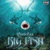 Download track Big Fish (Intro)