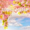 Download track Cherry Blossom Field Summer Breeze Ambience, Pt. 16