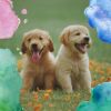 Download track Peaceful Moods For Cute Dogs