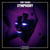 Download track Symphony (Extended Mix)