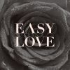 Download track Easy Love (Vocal. 99honest)